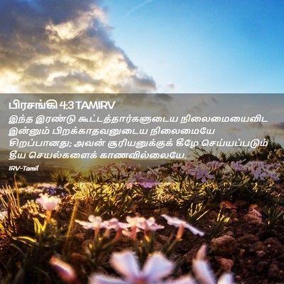 Picture 02 - பிரசங்கி 4:3 TAMIRV - இந்த இரண்டு - Bible Verse Picture