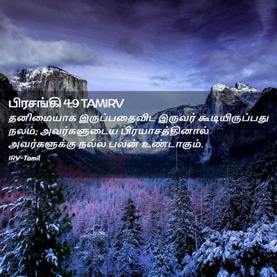 Picture 02 - பிரசங்கி 4:9 TAMIRV - தனிமையாக - Bible Verse Picture