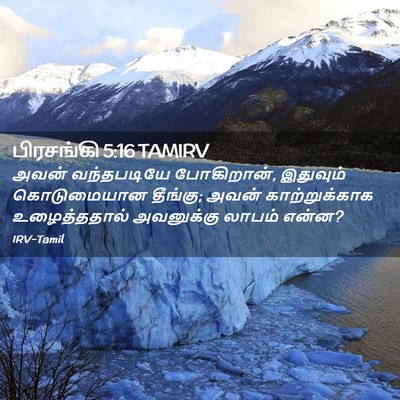 Picture 02 - பிரசங்கி 5:16 TAMIRV - அவன் வந்தபடியே - Bible Verse Picture