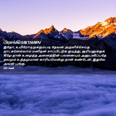 Picture 02 - பிரசங்கி 5:18 TAMIRV - இதோ, - Bible Verse Picture