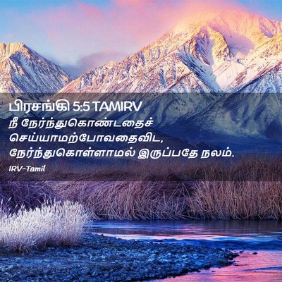 Picture 02 - பிரசங்கி 5:5 TAMIRV - நீ - Bible Verse Picture