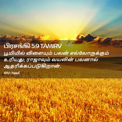 Picture 02 - பிரசங்கி 5:9 TAMIRV - பூமியில் விளையும் - Bible Verse Picture