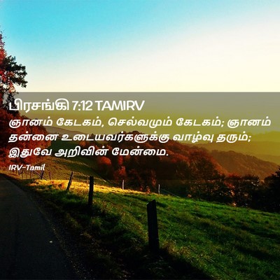 Picture 02 - பிரசங்கி 7:12 TAMIRV - ஞானம் கேடகம், - Bible Verse Picture