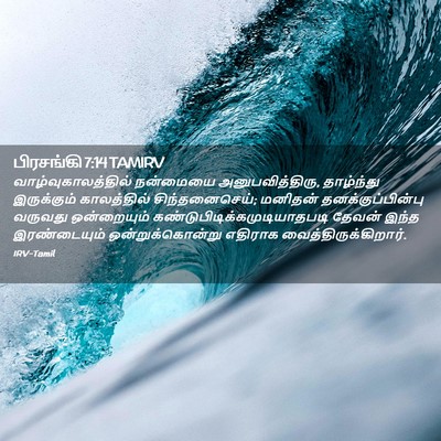 Picture 02 - பிரசங்கி 7:14 TAMIRV - வாழ்வுகாலத்தில் - Bible Verse Picture