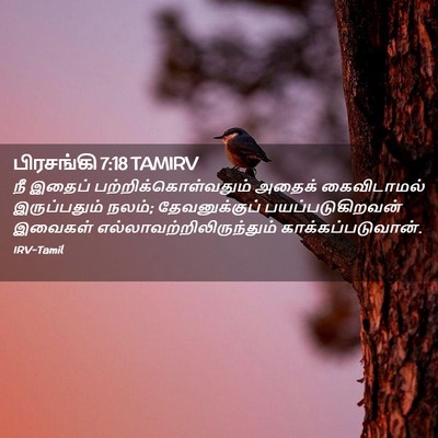 Picture 02 - பிரசங்கி 7:18 TAMIRV - நீ இதைப் - Bible Verse Picture