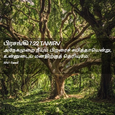 Picture 02 - பிரசங்கி 7:22 TAMIRV - அநேகமுறை நீயும் - Bible Verse Picture