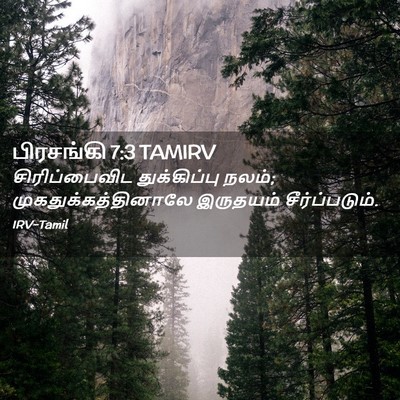Picture 02 - பிரசங்கி 7:3 TAMIRV - சிரிப்பைவிட - Bible Verse Picture