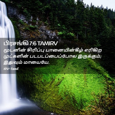 Picture 02 - பிரசங்கி 7:6 TAMIRV - மூடனின் சிரிப்பு - Bible Verse Picture