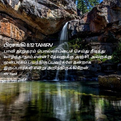 Picture 02 - பிரசங்கி 8:12 TAMIRV - பாவி நூறுதரம் - Bible Verse Picture