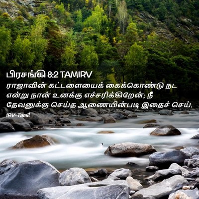 Picture 02 - பிரசங்கி 8:2 TAMIRV - ராஜாவின் - Bible Verse Picture