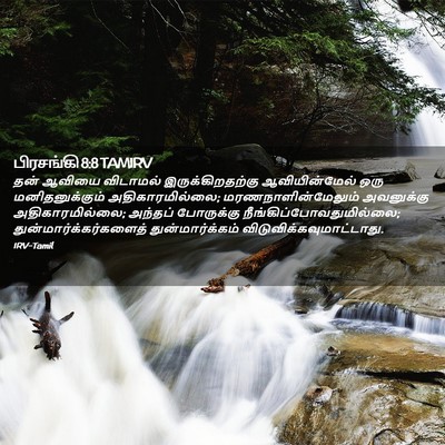 Picture 02 - பிரசங்கி 8:8 TAMIRV - தன் ஆவியை விடாமல் - Bible Verse Picture