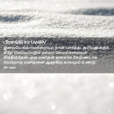 Picture 02 - பிரசங்கி 8:9 TAMIRV -  - Bible Verse Picture
