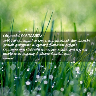 Picture 02 - பிரசங்கி 9:15 TAMIRV - அதிலே ஞானமுள்ள - Bible Verse Picture