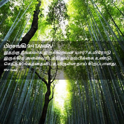 Picture 02 - பிரசங்கி 9:4 TAMIRV - இதற்கு நீங்கலாக - Bible Verse Picture