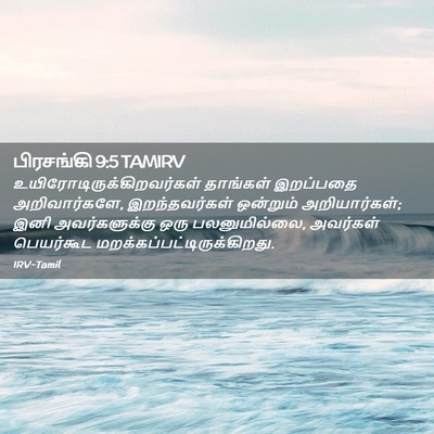 Picture 02 - பிரசங்கி 9:5 TAMIRV -  - Bible Verse Picture