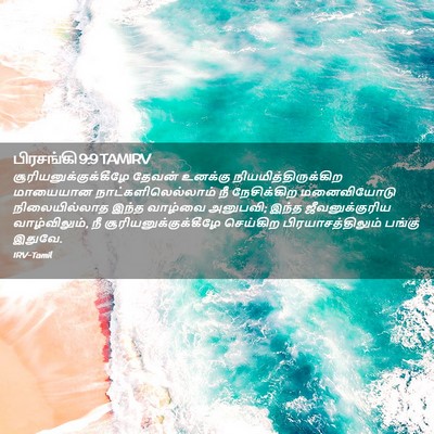 Picture 02 - பிரசங்கி 9:9 TAMIRV -  - Bible Verse Picture