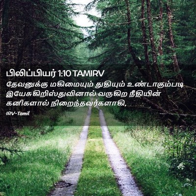 Picture 02 - பிலிப்பியர் 1:10 TAMIRV - தேவனுக்கு - Bible Verse Picture