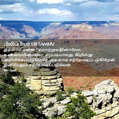 Picture 02 - பிலிப்பியர் 1:18 TAMIRV - இதனால் என்ன? - Bible Verse Picture