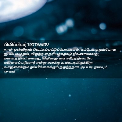 Picture 02 - பிலிப்பியர் 1:20 TAMIRV - நான் ஒன்றிலும் - Bible Verse Picture