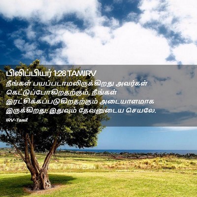 Picture 02 - பிலிப்பியர் 1:28 TAMIRV - நீங்கள் - Bible Verse Picture