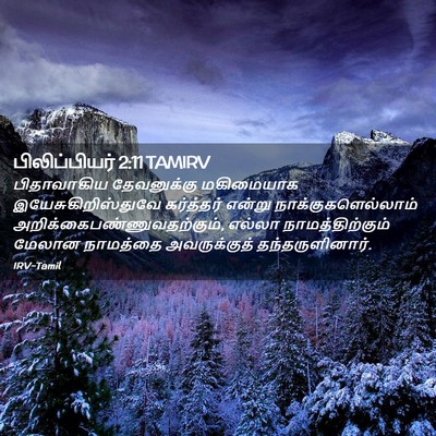 Picture 02 - பிலிப்பியர் 2:11 TAMIRV - பிதாவாகிய - Bible Verse Picture