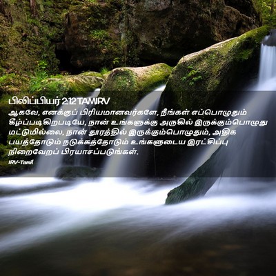 Picture 02 - பிலிப்பியர் 2:12 TAMIRV - ஆகவே, எனக்குப் - Bible Verse Picture