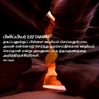 Picture 02 - பிலிப்பியர் 2:22 TAMIRV - தகப்பனுக்குப் - Bible Verse Picture