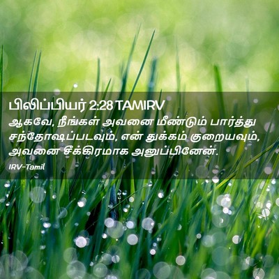Picture 02 - பிலிப்பியர் 2:28 TAMIRV - ஆகவே, நீங்கள் அவனை - Bible Verse Picture