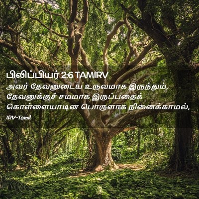 Picture 02 - பிலிப்பியர் 2:6 TAMIRV - அவர் தேவனுடைய - Bible Verse Picture