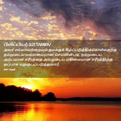 Picture 02 - பிலிப்பியர் 3:21 TAMIRV - அவர் - Bible Verse Picture