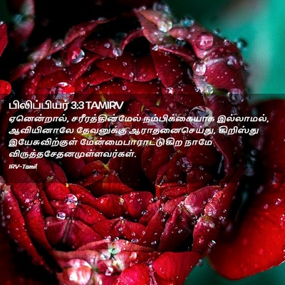 Picture 02 - பிலிப்பியர் 3:3 TAMIRV - ஏனென்றால், - Bible Verse Picture