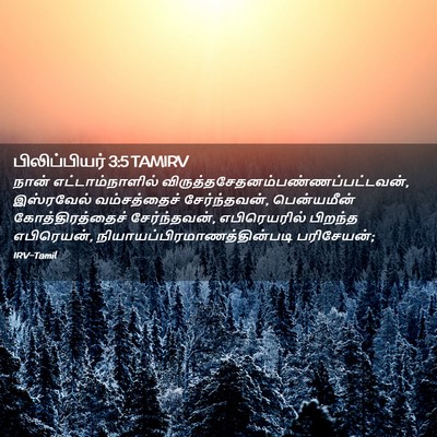 Picture 02 - பிலிப்பியர் 3:5 TAMIRV - நான் - Bible Verse Picture