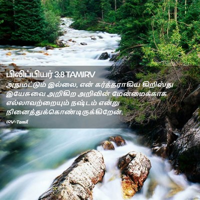 Picture 02 - பிலிப்பியர் 3:8 TAMIRV - அதுமட்டும் இல்லை, - Bible Verse Picture