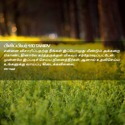 Picture 02 - பிலிப்பியர் 4:10 TAMIRV - என்னை - Bible Verse Picture