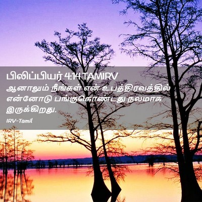 Picture 02 - பிலிப்பியர் 4:14 TAMIRV - ஆனாலும் நீங்கள் - Bible Verse Picture