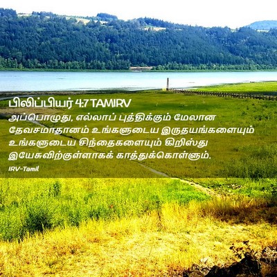 Picture 02 - பிலிப்பியர் 4:7 TAMIRV - அப்பொழுது, - Bible Verse Picture