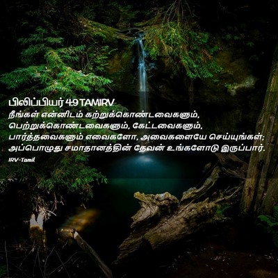 Picture 02 - பிலிப்பியர் 4:9 TAMIRV - நீங்கள் என்னிடம் - Bible Verse Picture