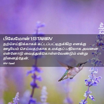 Picture 02 - பிலேமோன் 1:13 TAMIRV - நற்செய்திக்காகக் - Bible Verse Picture