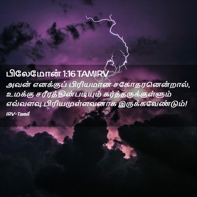 Picture 02 - பிலேமோன் 1:16 TAMIRV - அவன் எனக்குப் - Bible Verse Picture