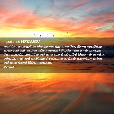 Picture 02 - புலம்பல் 1:12 TAMIRV - வழியில் - Bible Verse Picture