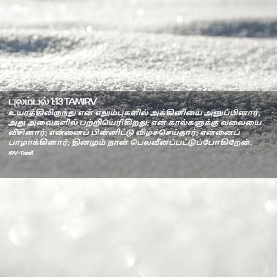 Picture 02 - புலம்பல் 1:13 TAMIRV - உயரத்திலிருந்து - Bible Verse Picture