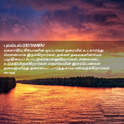 Picture 02 - புலம்பல் 2:10 TAMIRV - மகளாகிய சீயோனின் - Bible Verse Picture