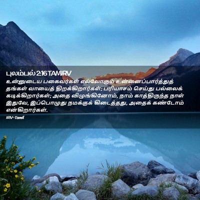 Picture 02 - புலம்பல் 2:16 TAMIRV - உன்னுடைய - Bible Verse Picture