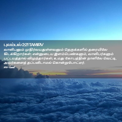 Picture 02 - புலம்பல் 2:21 TAMIRV - வாலிபனும் - Bible Verse Picture