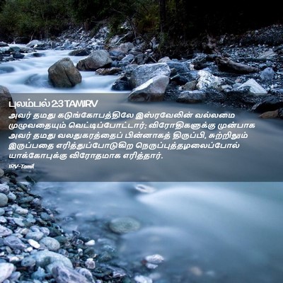 Picture 02 - புலம்பல் 2:3 TAMIRV - அவர் தமது - Bible Verse Picture
