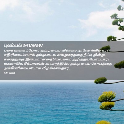 Picture 02 - புலம்பல் 2:4 TAMIRV - பகைவனைப்போல் - Bible Verse Picture