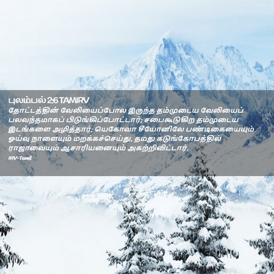 Picture 02 - புலம்பல் 2:6 TAMIRV - தோட்டத்தின் - Bible Verse Picture