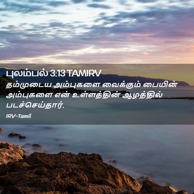 Picture 02 - புலம்பல் 3:13 TAMIRV - தம்முடைய அம்புகளை - Bible Verse Picture