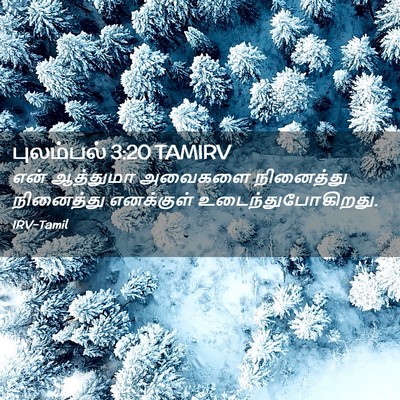 Picture 02 - புலம்பல் 3:20 TAMIRV - என் ஆத்துமா - Bible Verse Picture