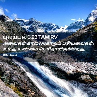 Picture 02 - புலம்பல் 3:23 TAMIRV - அவைகள் காலைதோறும் - Bible Verse Picture